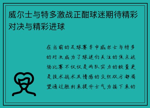 威尔士与特多激战正酣球迷期待精彩对决与精彩进球
